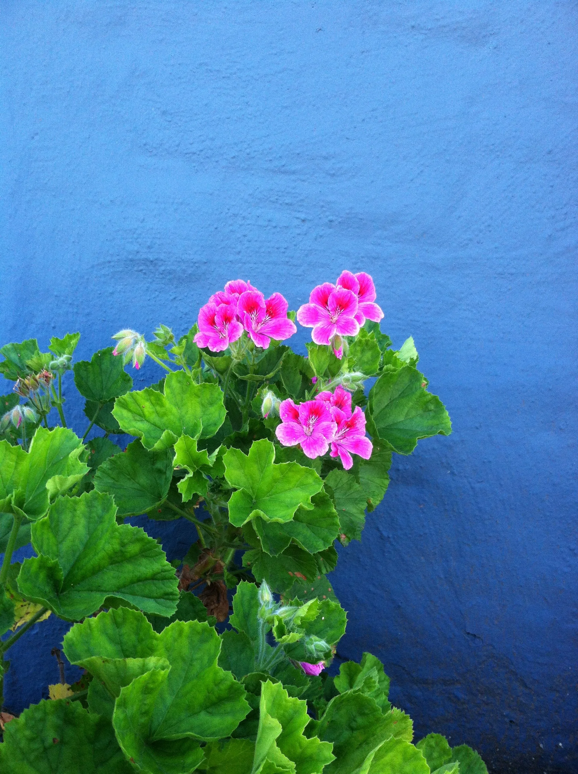 2014-04-06 12.16.41.jpg