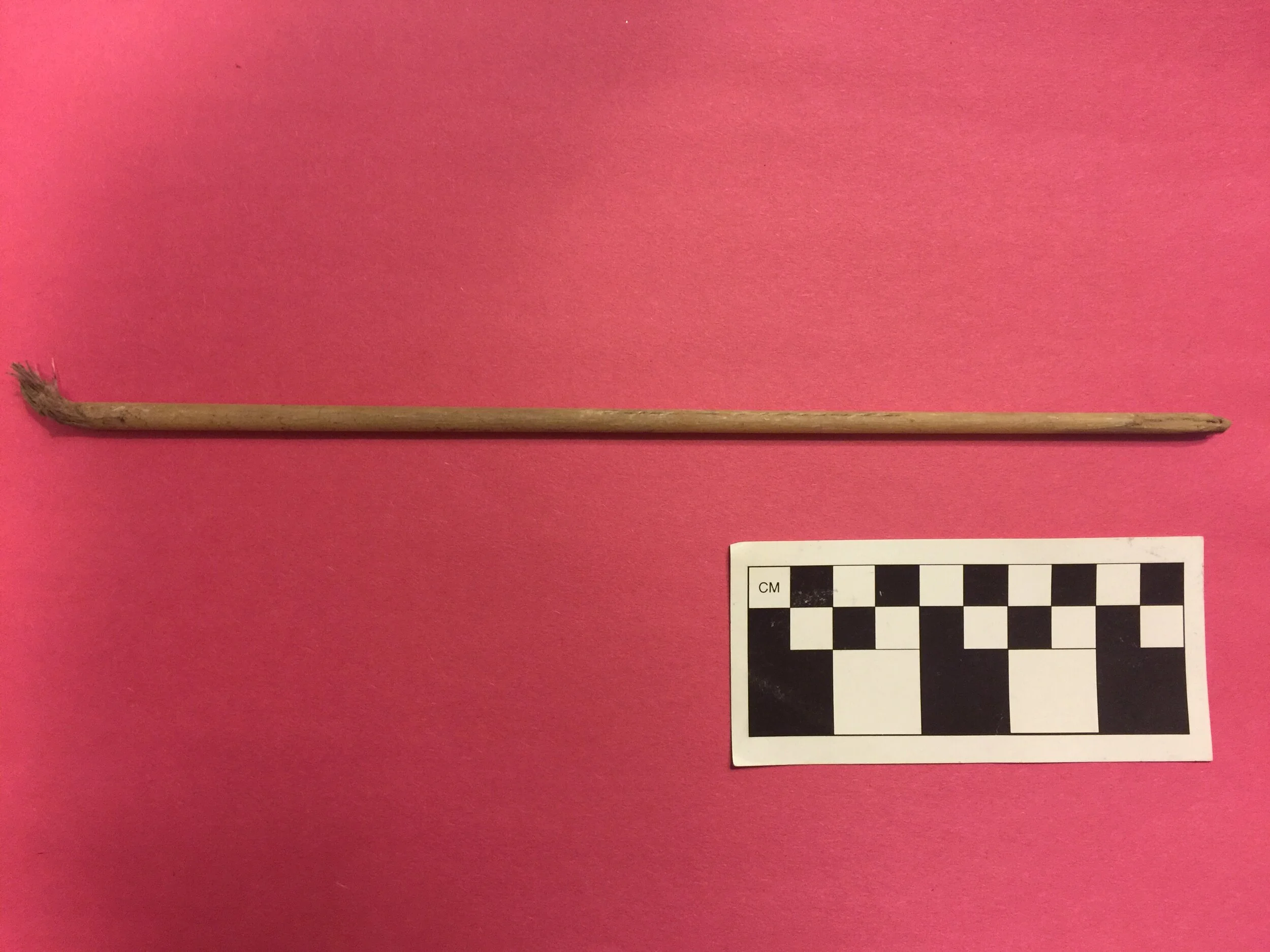 Bamboo paint or calligraphy brush recovered from the Concer site