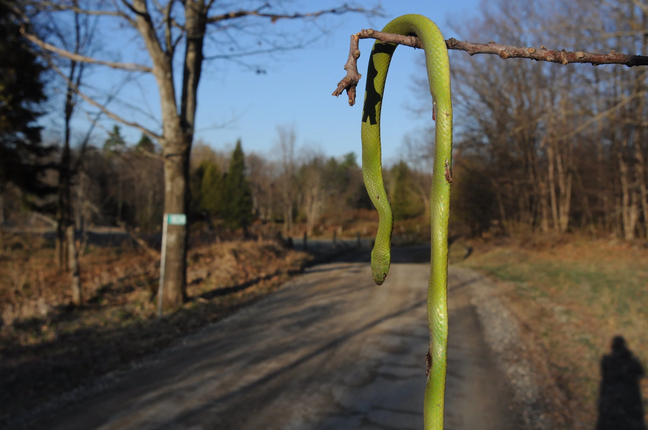 Ren.APRIL16-20.12 (302).JPG