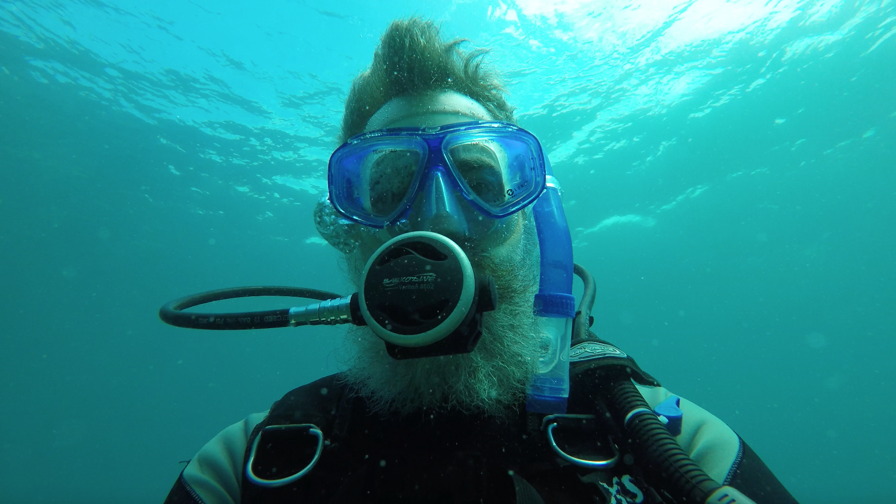 Screen Shot 2016-12-04 at 9.02.56 AM.png