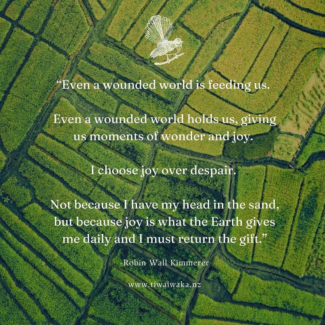 &ldquo;Even a wounded world is feeding us. 

Even a wounded world holds us, giving us moments of wonder and joy. 
I choose joy over despair. 

Not because I have my head in the sand, but because joy is what the Earth gives me daily and I must return 