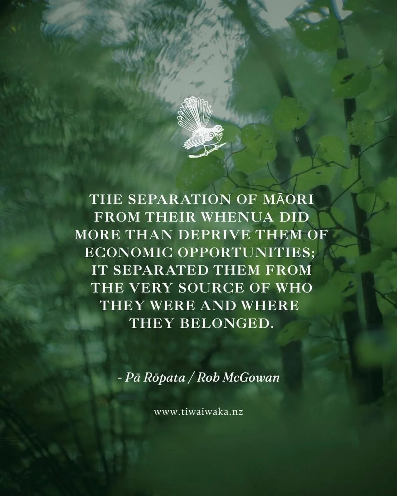 The separation of Māori from their whenua did more than deprive them of economic opportunities; it separated them from the very source of who they were and where they belonged. To me the biggest contribution to Māori health from the Crown over the la