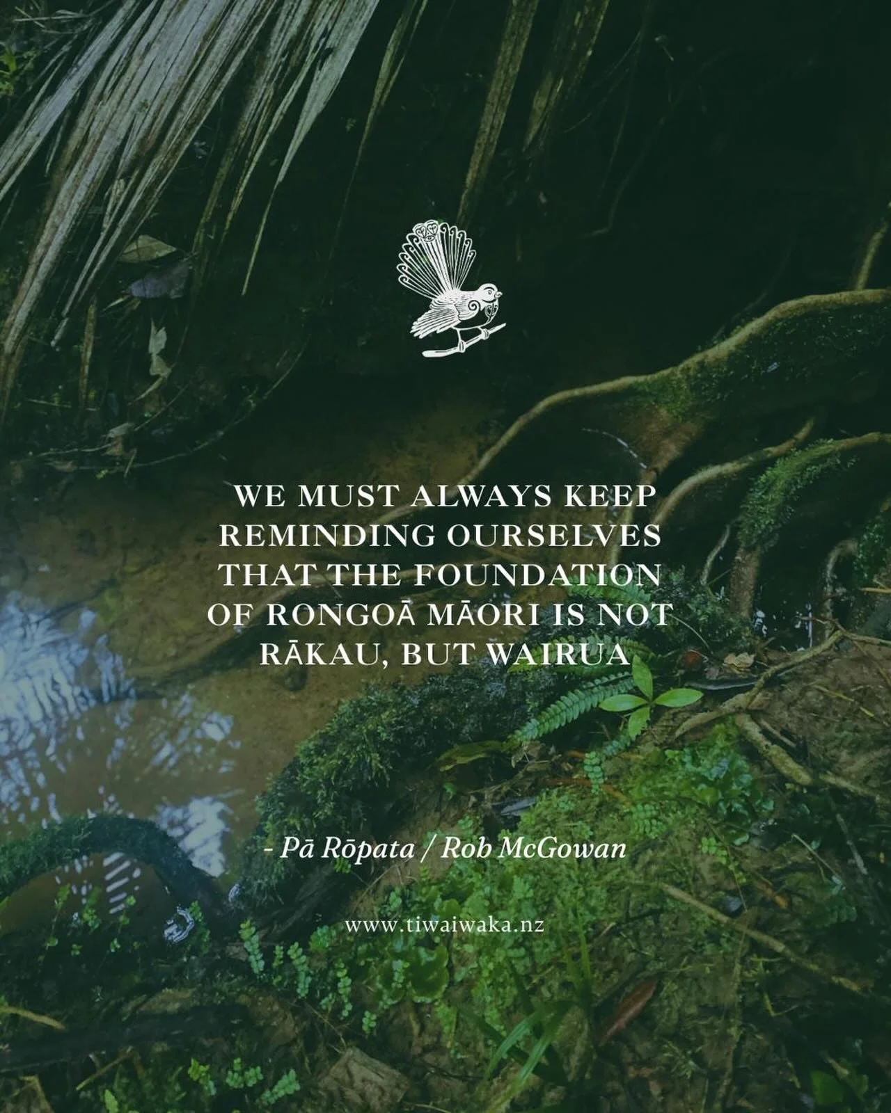 We must always keep reminding ourselves that the foundation of rongoā Māori is not rākau (plants, trees), but wairua. Wairua is not about karakia; rather karakia is a way we can connect to our taha wairua. Wairua is the sense of all the connections, 