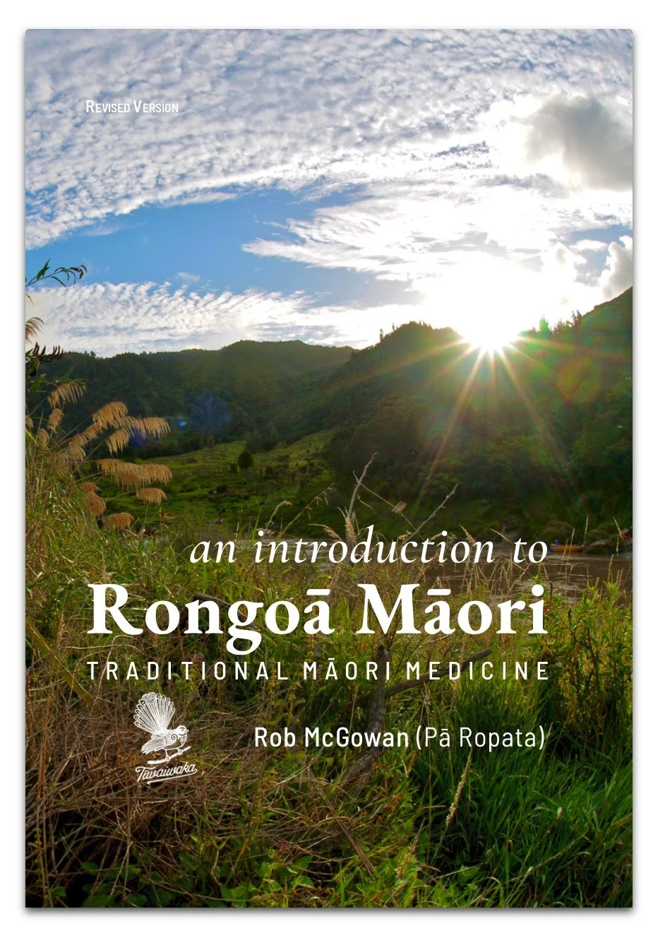 NewRongoāCover.jpg