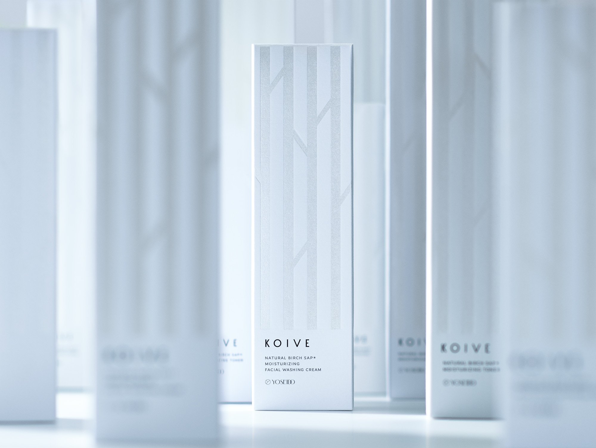 KOIVE_2_rgb_1220 のコピー.jpg
