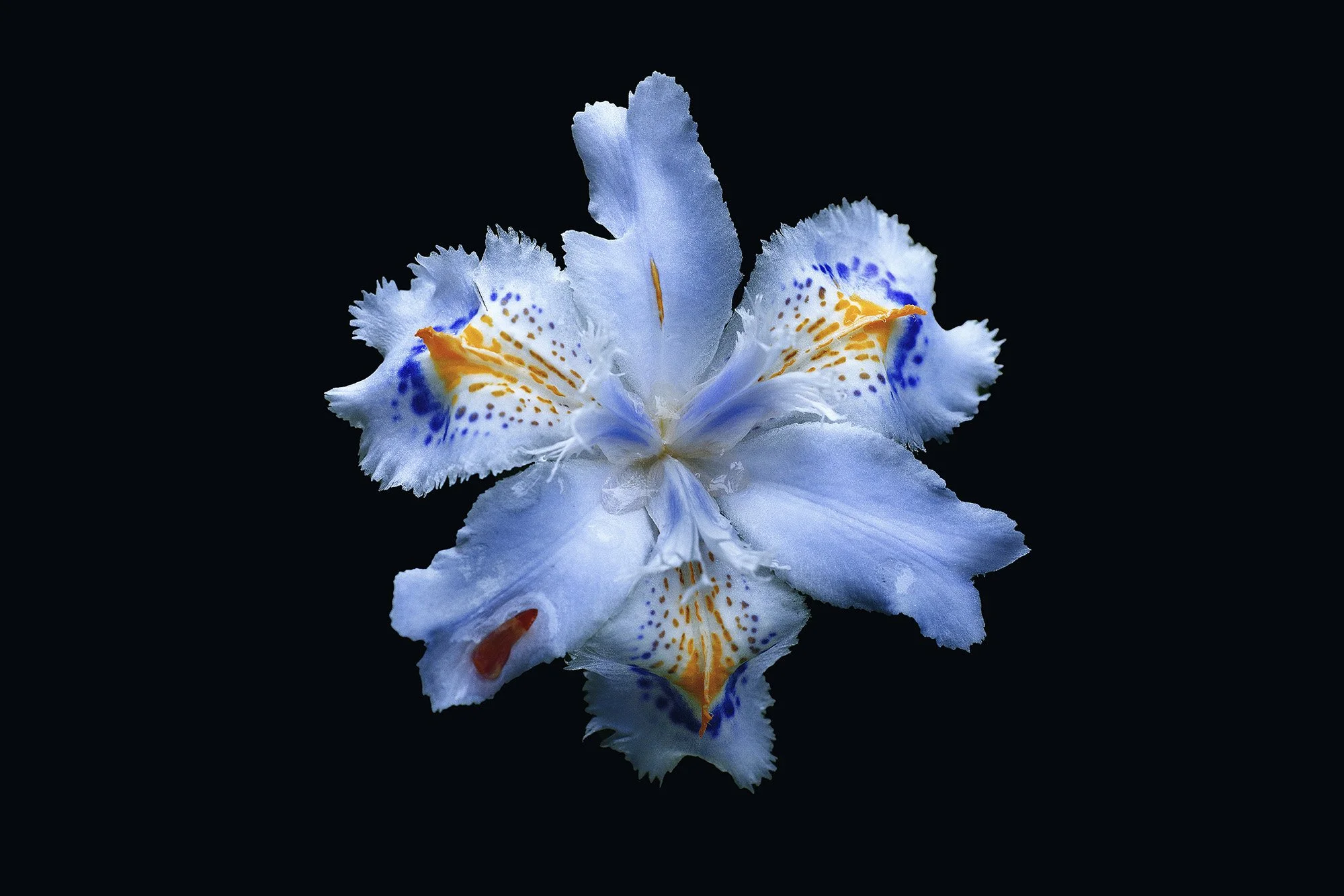 _F1A4206 のコピー.jpg