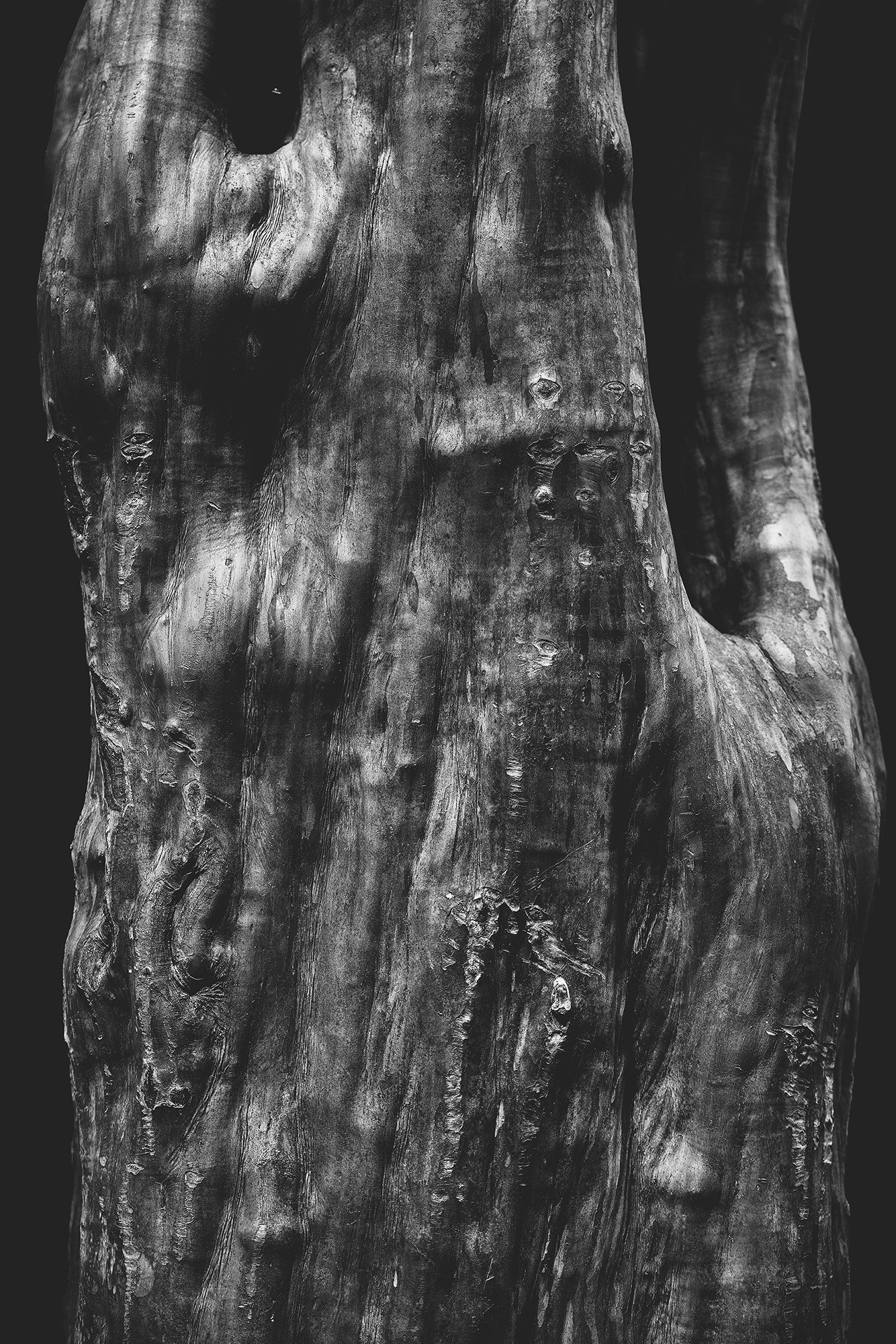 _F1A1083 のコピー+++.jpg