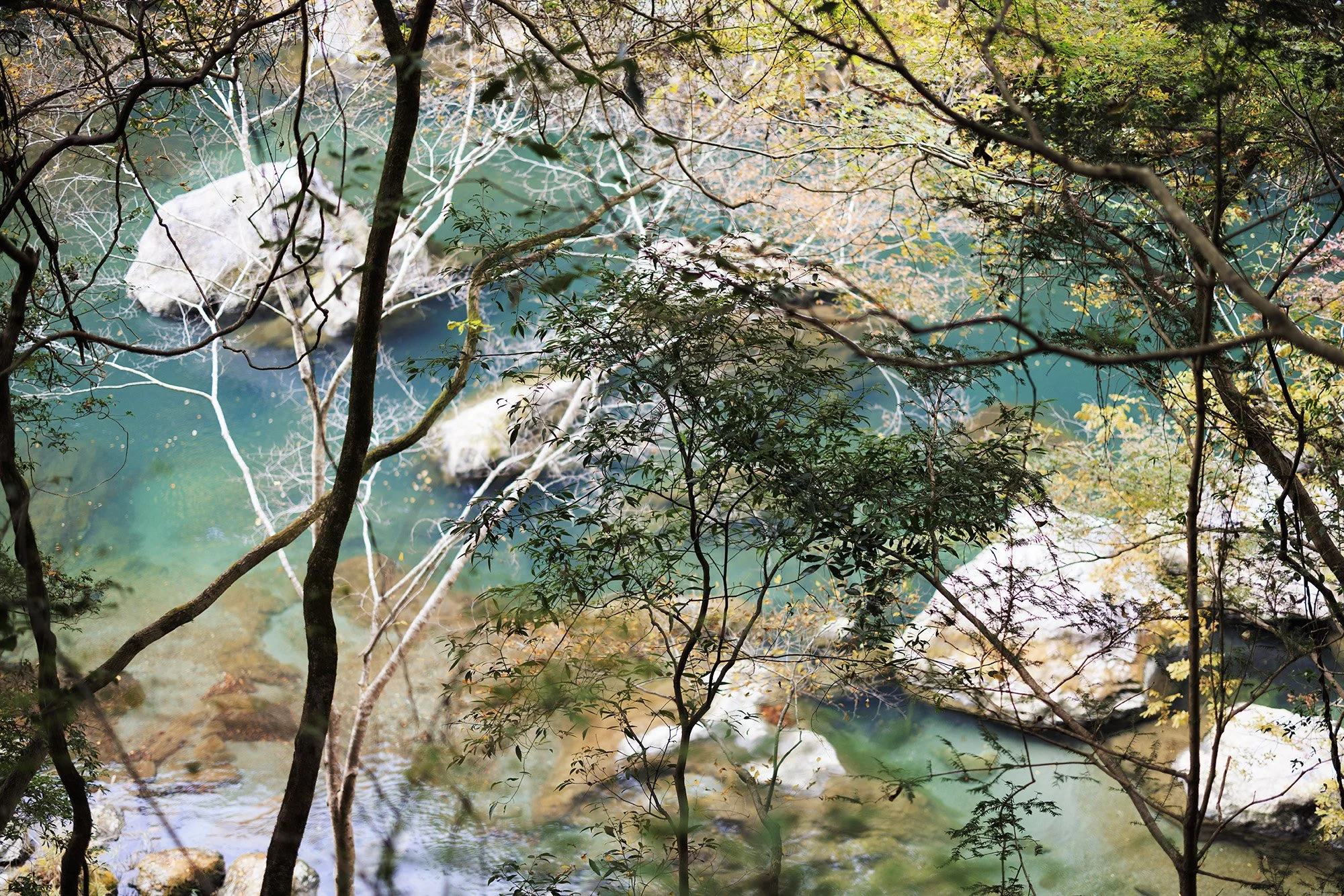 _F1A3061 のコピー3.jpg