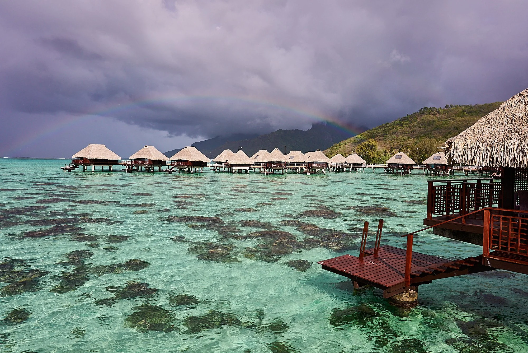Moorea Honeymoon