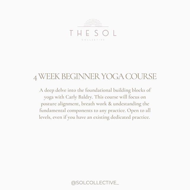 4 weeks of grounding foundational yoga with @carlybaldry_yoga course begins Thursday August 6th ✨ AND... in the NEW SPACE! 🌞

#thesolcollective #newbeginnings #beginnersyoga