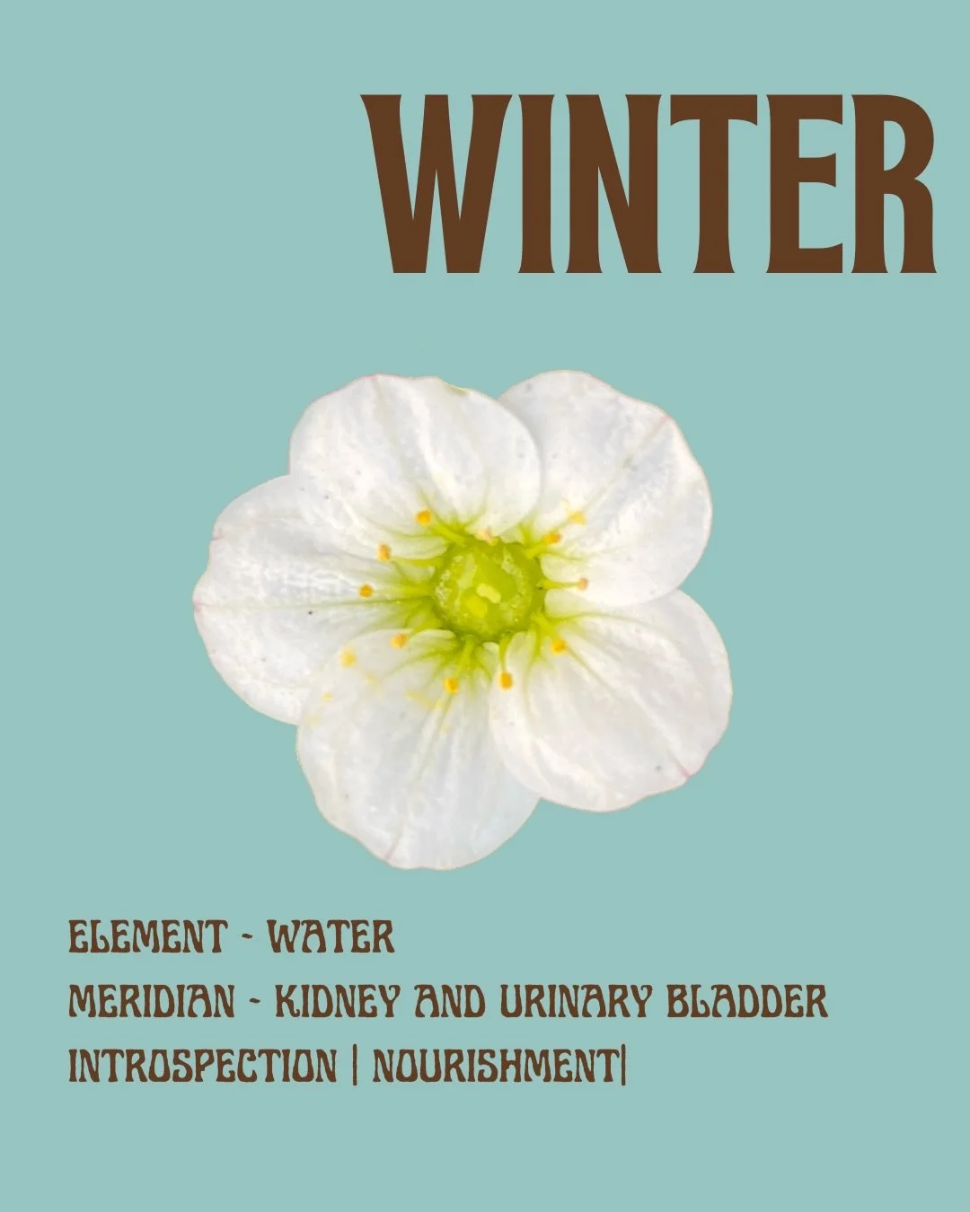 We live in a world that asks us to be in perpetual springtime, always blooming, always producing, always &ldquo;on.&rdquo; But nature never blooms all year round. 
It trusts the winter.

When the air cools and the days shorten, your body isn&rsquo;t 