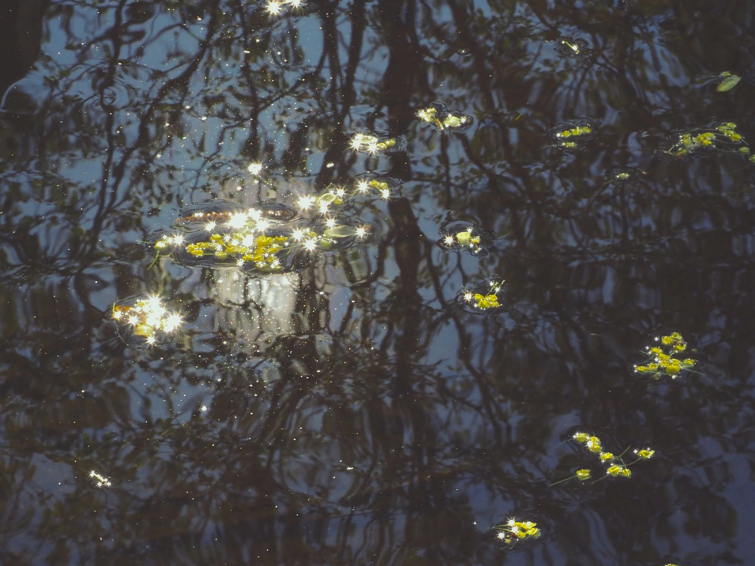 FullSizeRender-kopi 2.jpg