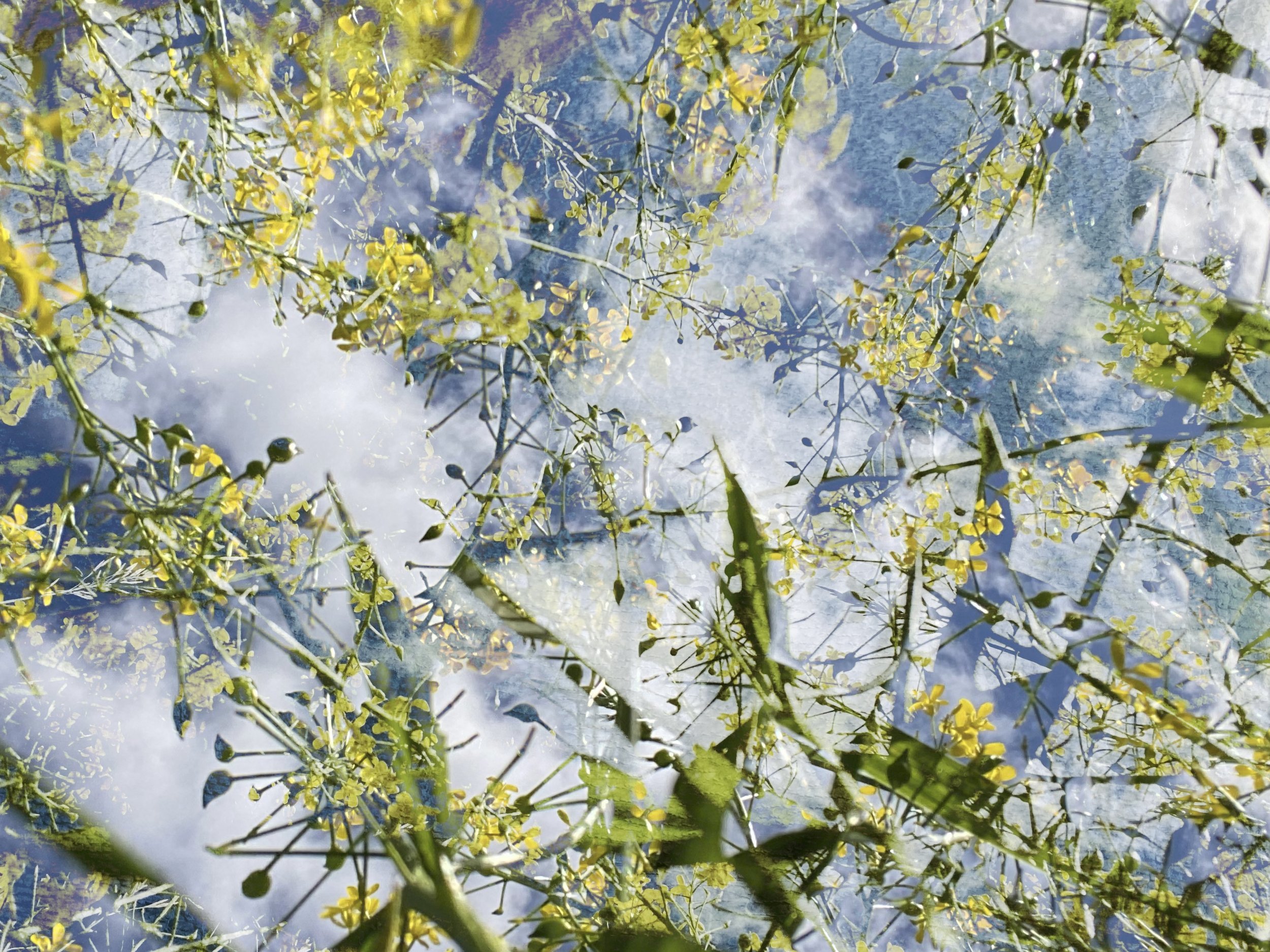 FullSizeRender-kopi 2.jpeg