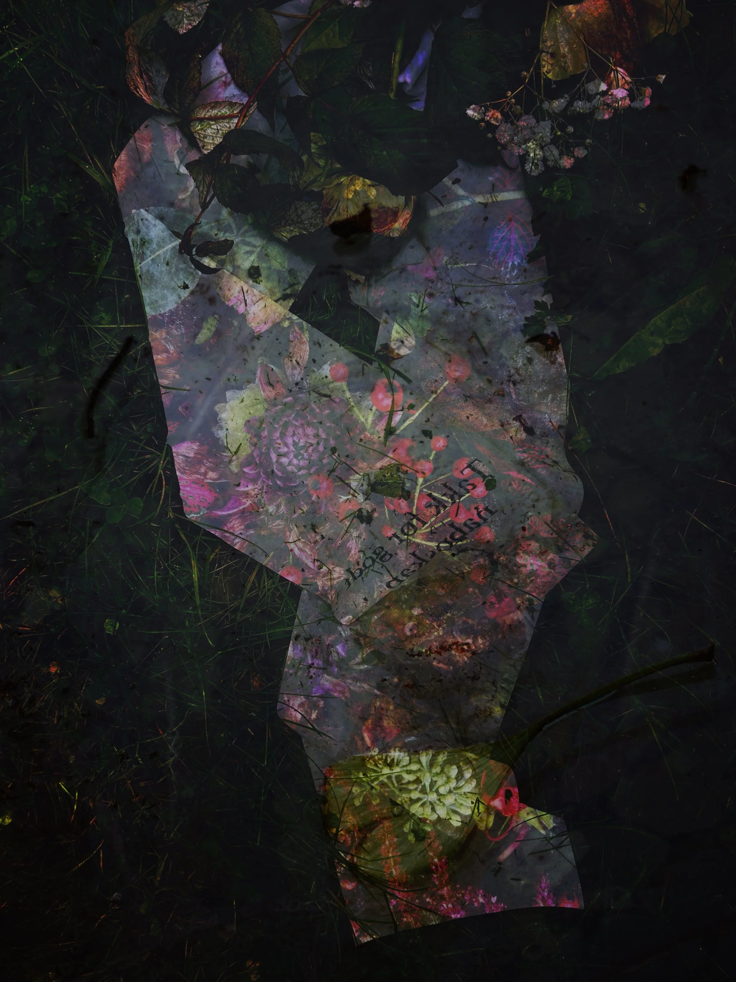 FullSizeRender_SnapseedCopy 2.jpg