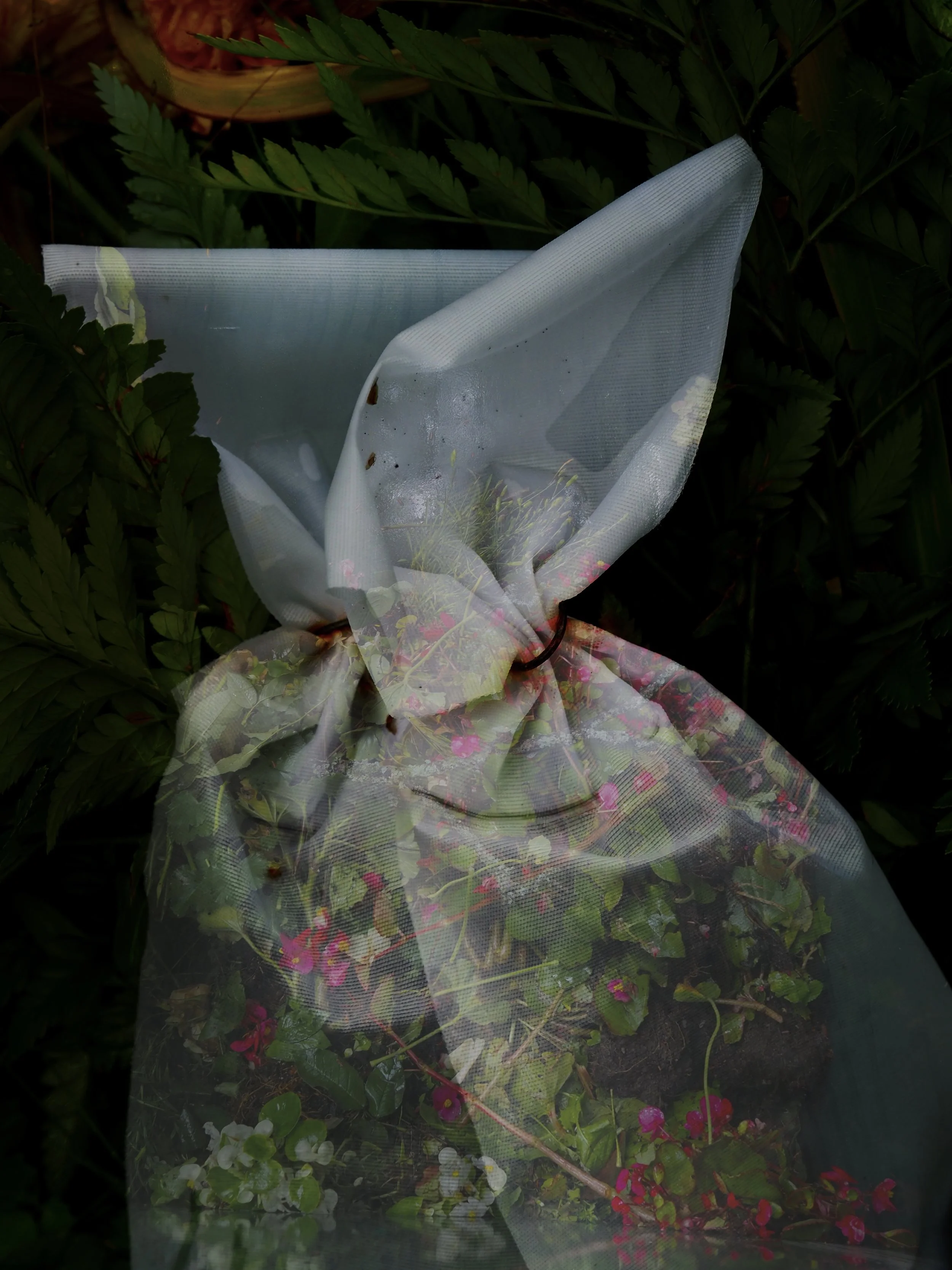 FullSizeRender 2.jpg