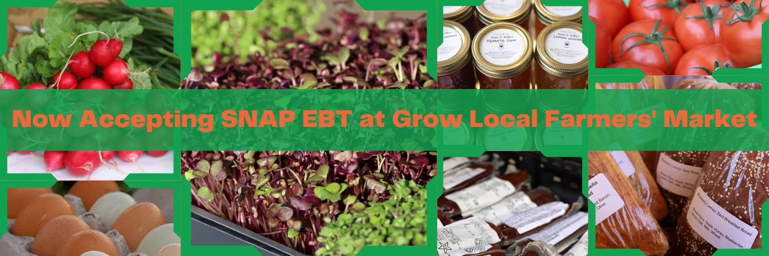 Header for SNAP page.png