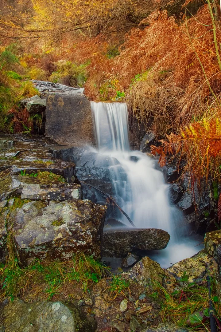 Carlingford Waterfall