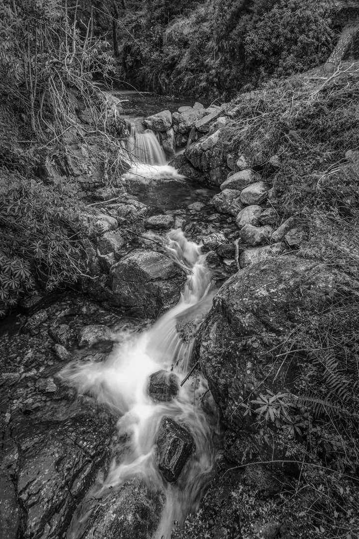 The Enchanted Cascade