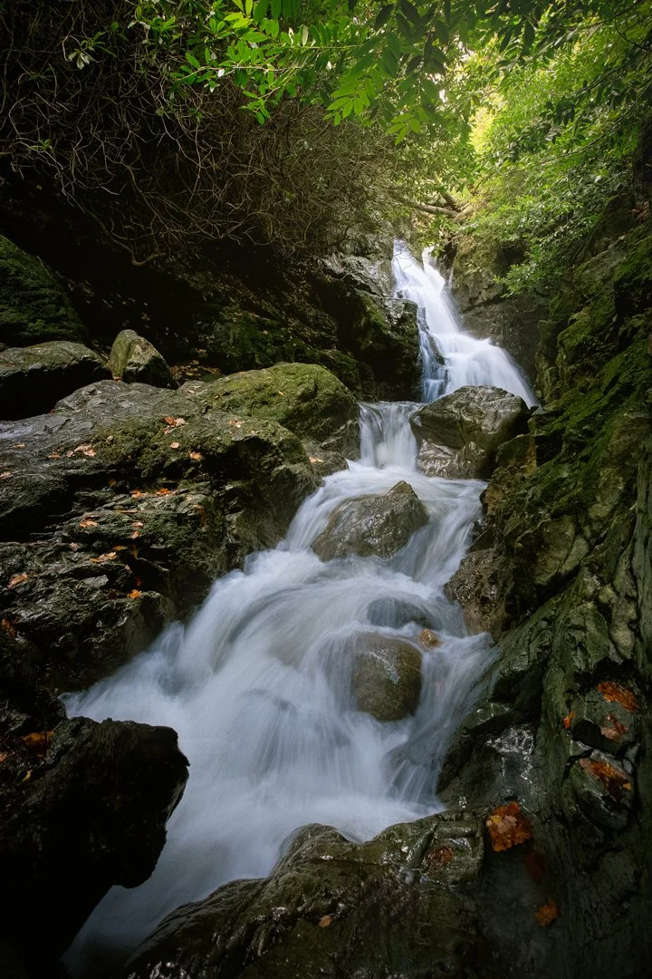 Tollymore Forest Waterfall (Portrait)