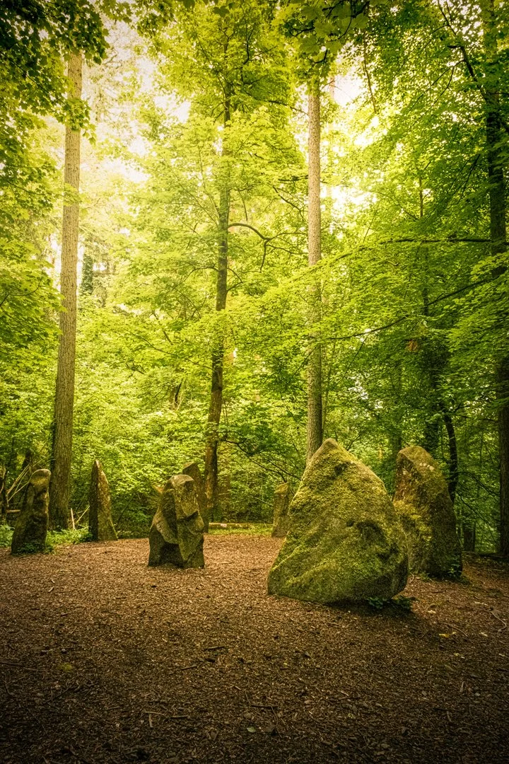 Fairy Ring Ravensdale Portrait