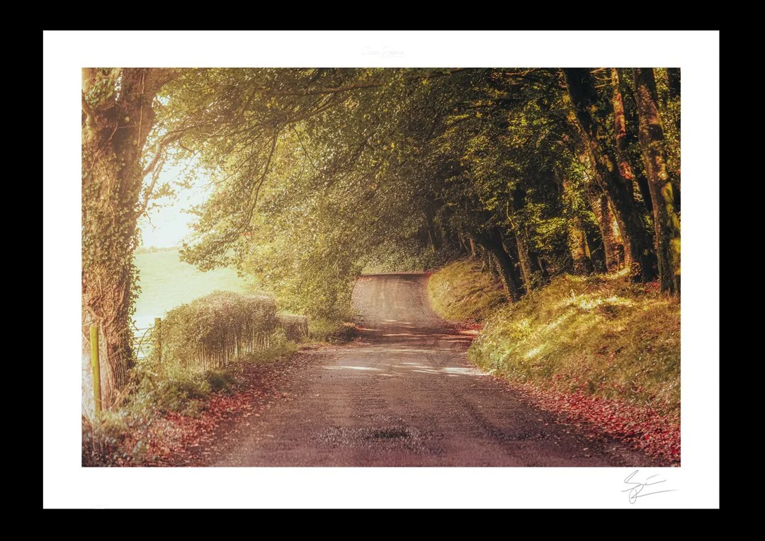Ravensdale-road.jpg