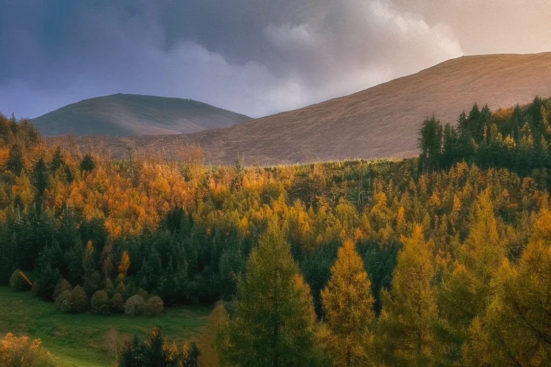 Whispers-of-Autumn.jpg