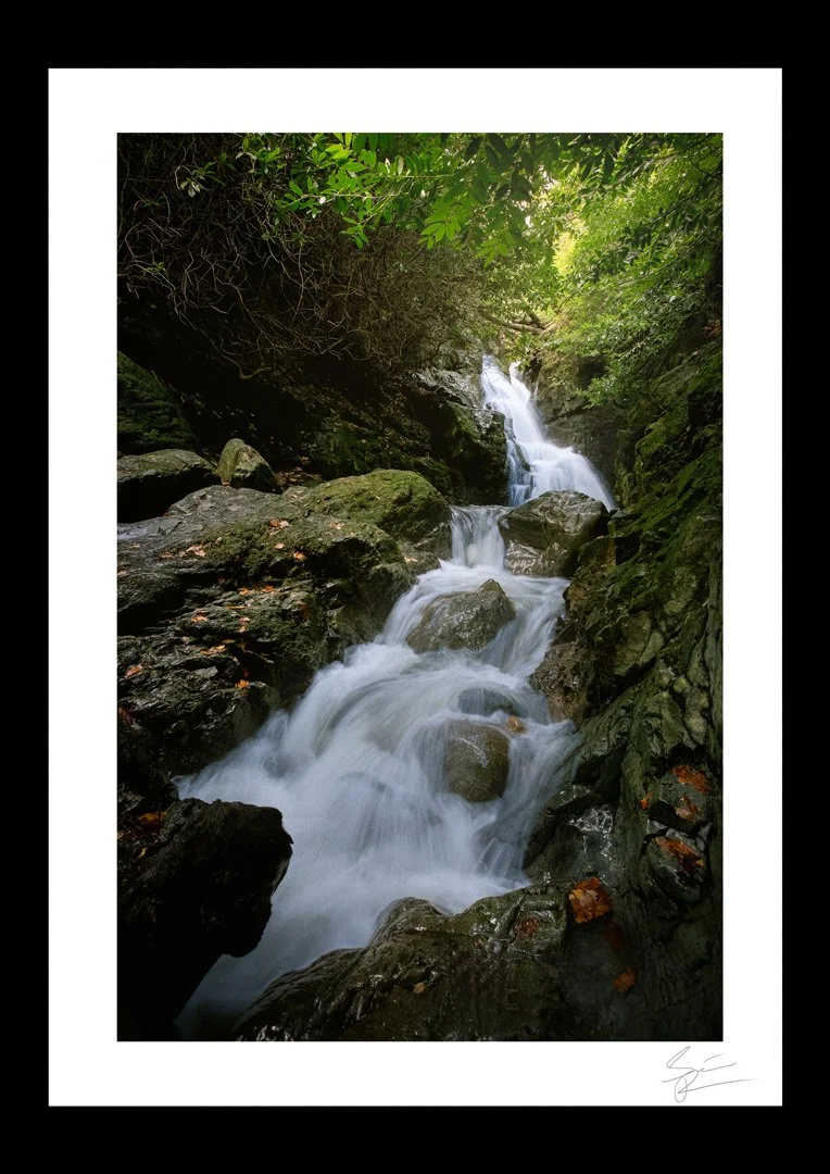 Tollymore-Forest-Waterfall-Portrait.jpg