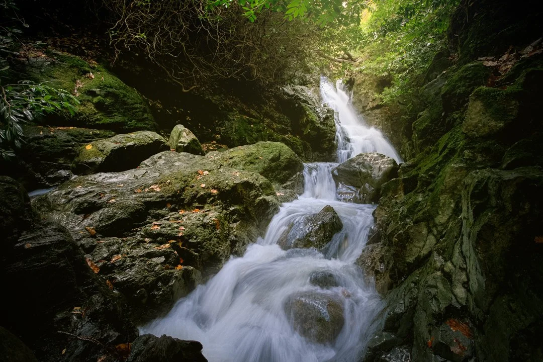 Tollymore-Forest-Waterfall.jpg