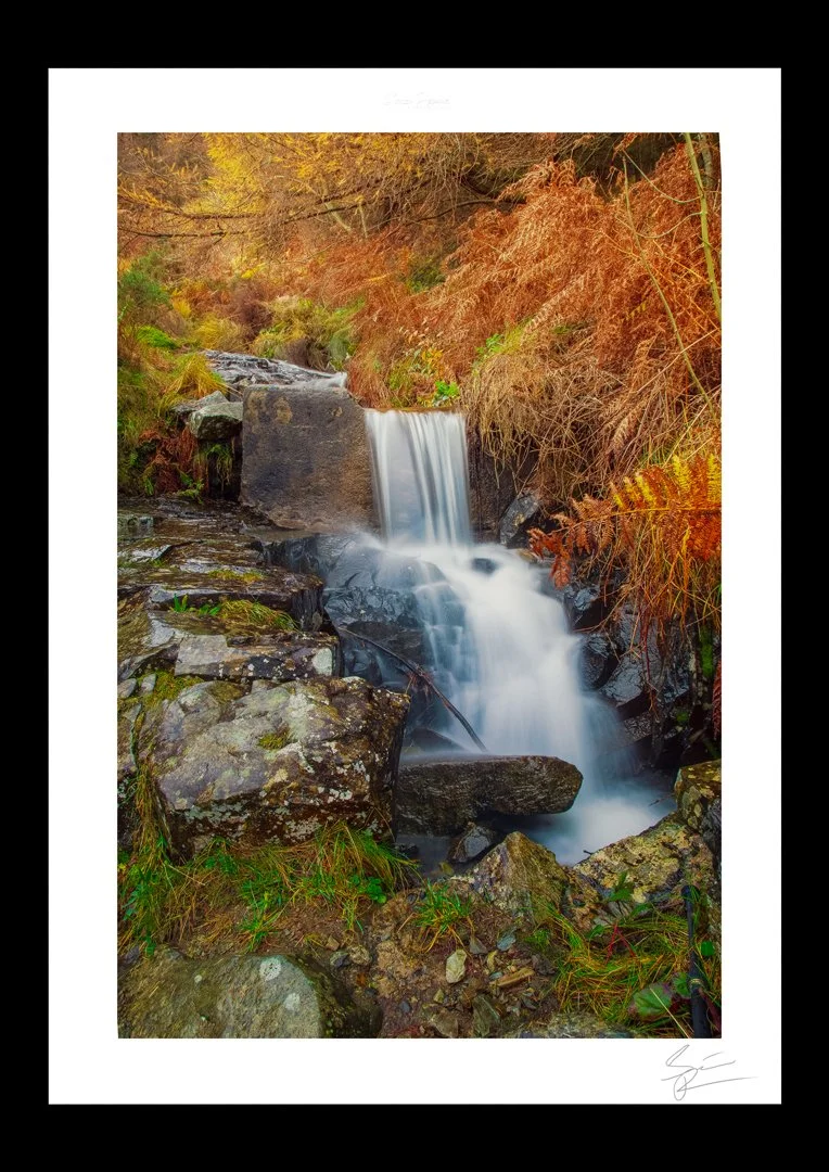 Carlingford-Waterfall.jpg