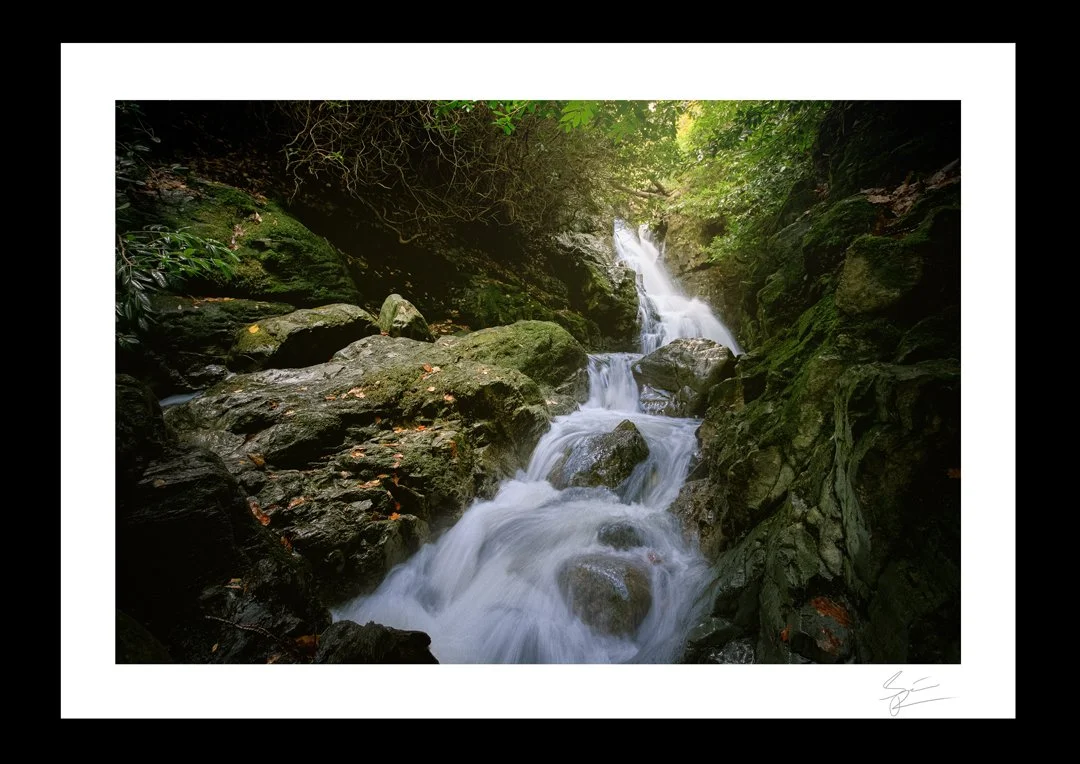 Tollymore-Forest-Waterfall-.jpg