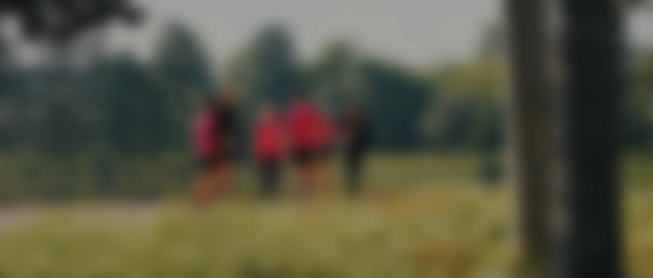 frame_127.jpg