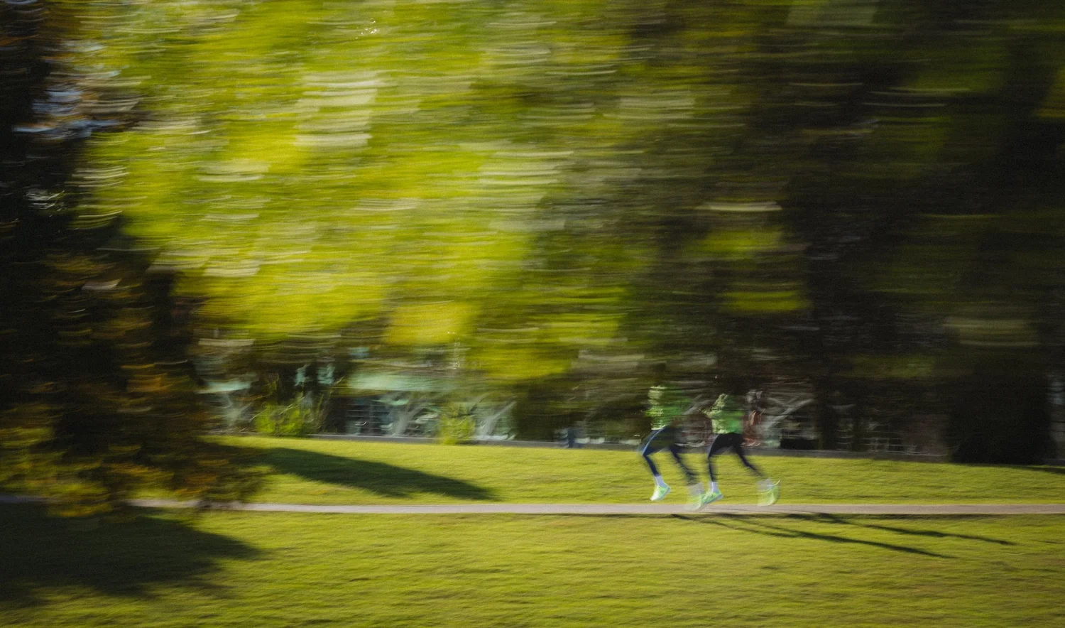 Coureurs en mouvement dans un parc arboré, effet de filé, vidéo de campagne running
