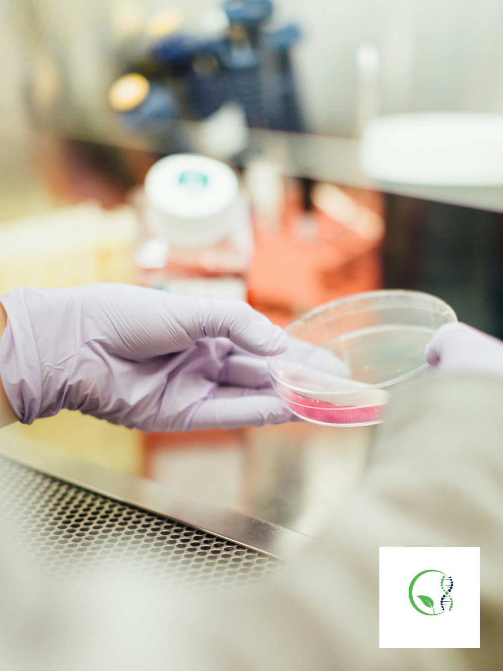 The Benefits of Stem Cell Therapy: How Regenerative Medicine Is Changing Modern Healthcare