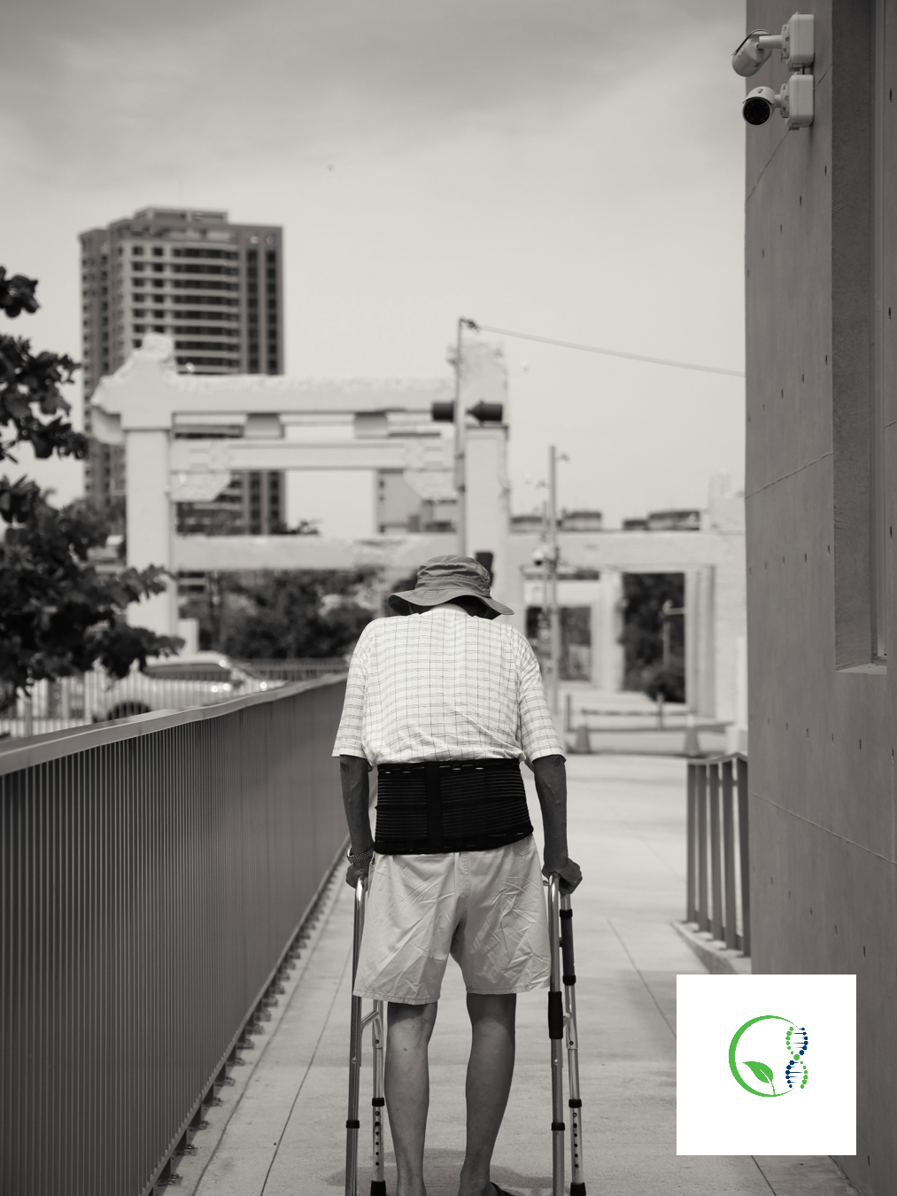 Stem Cell Therapy for Arthritis: A Regenerative Approach to Joint Pain Relief