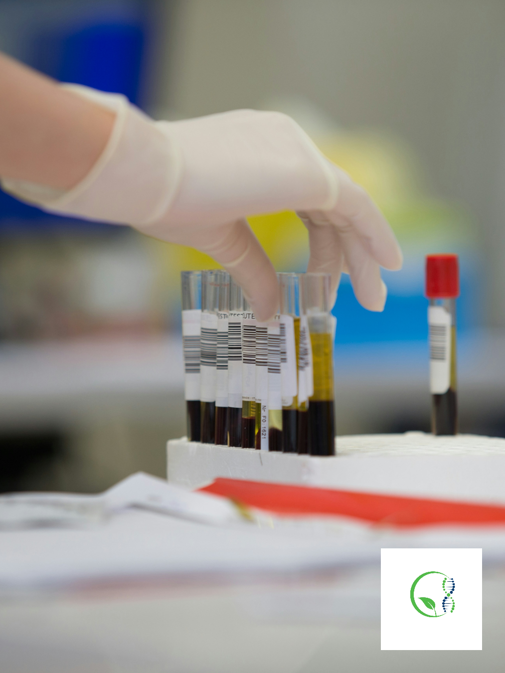 Stem Cells vs PRP: What’s the Difference?