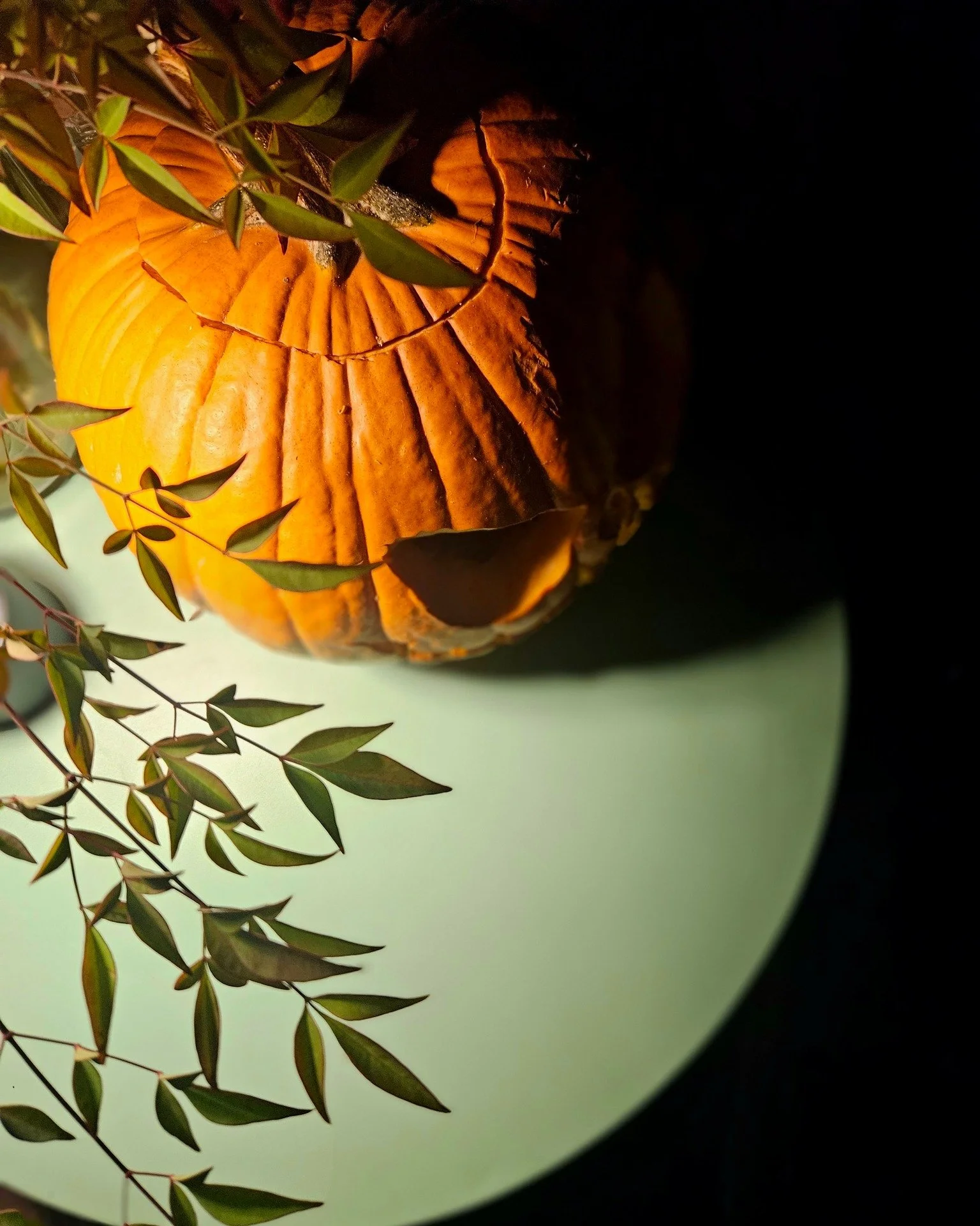 KinKa Co-Creator @thomas_sebazco  will be doing a pumpkin carving demonstration at @6bgarden  this Sunday (10.26.2025, 1pm)  Come get inspired and create your own unique pumpkin for Halloween. You might also spot his spooky pumpkins at KinKa’s