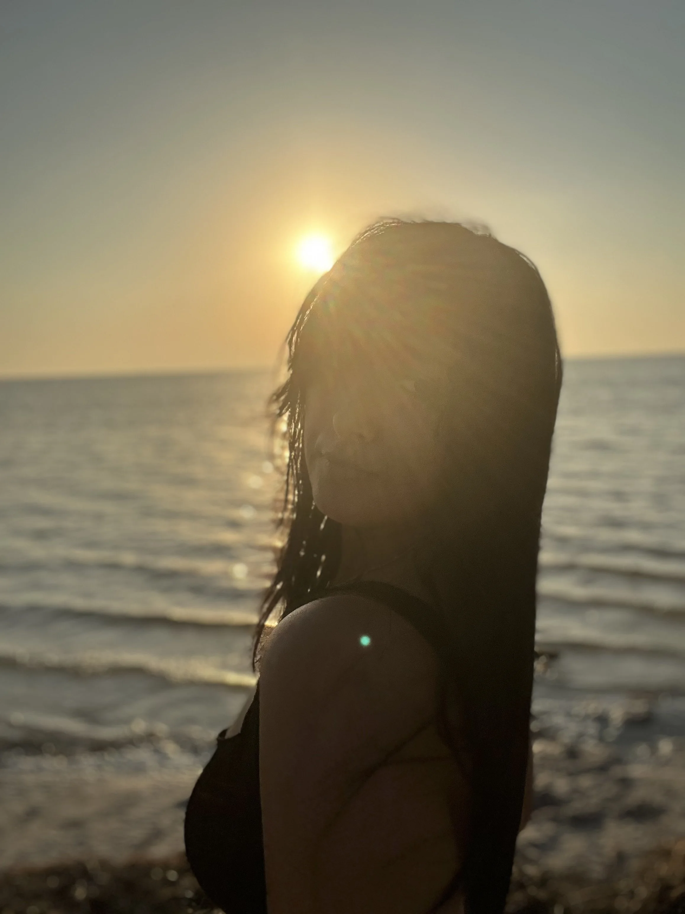 Sea Journal Update