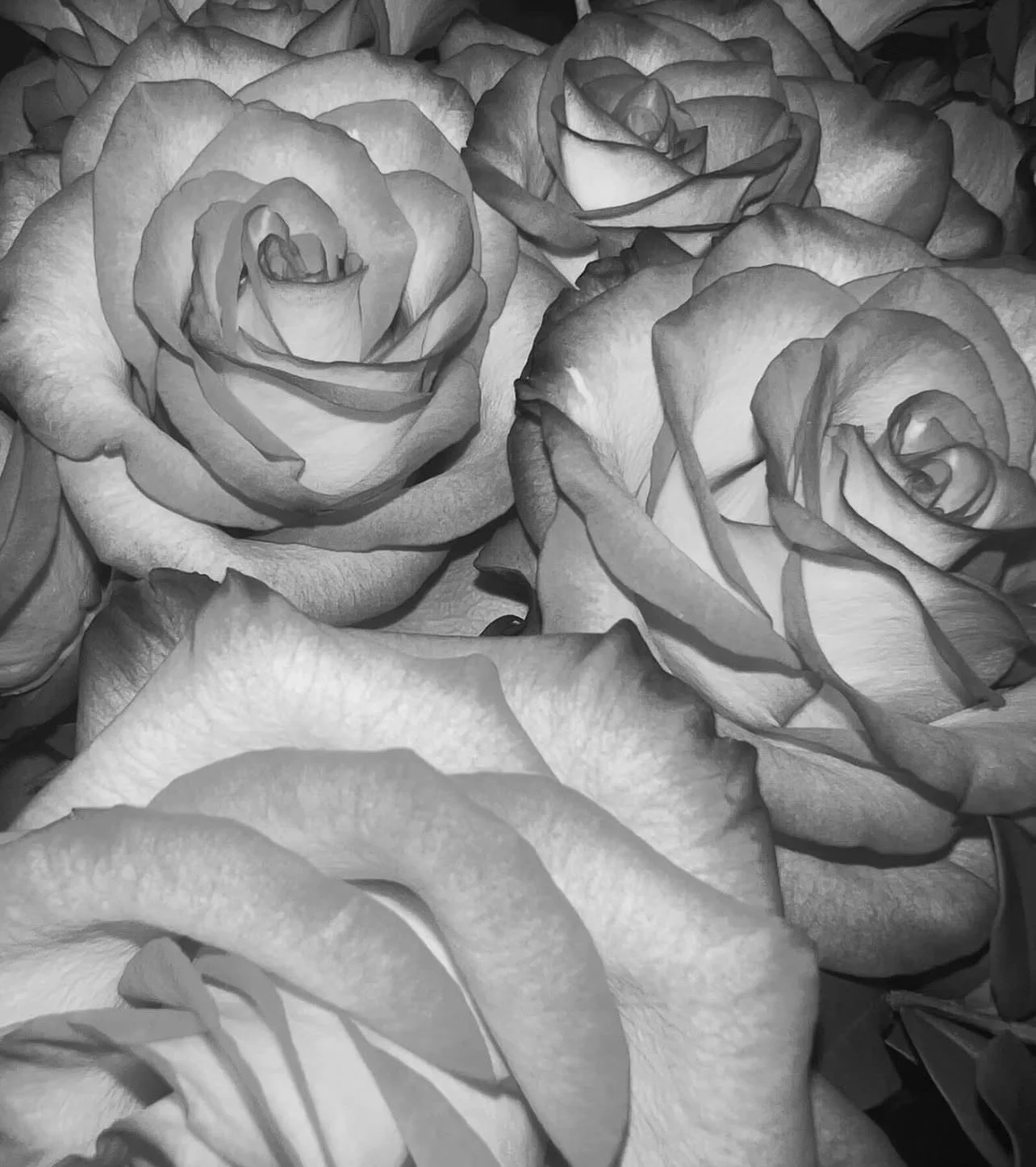 She Wrote Poetry About Flowers