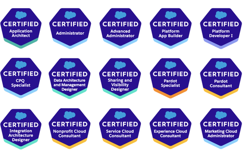 Sharing-and-Visibility-Architect Online Tests
