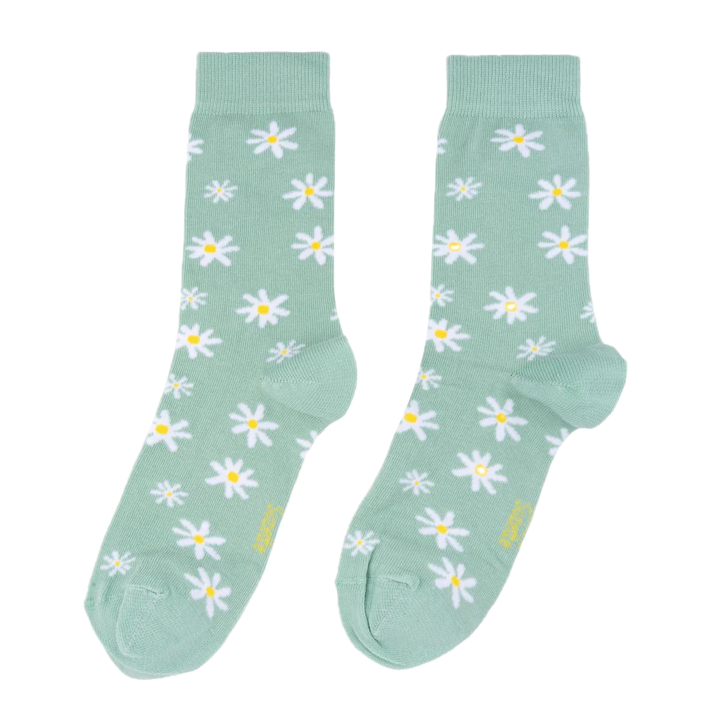 9238 Background Removed.png