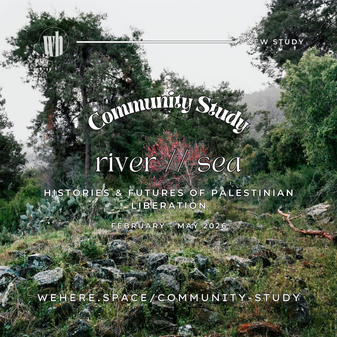 Square event flyer over a misty, green woodland scene with tall trees and a rocky foreground that looks like low stone ruins or scattered boulders. A small red-leaved shrub stands near the center.