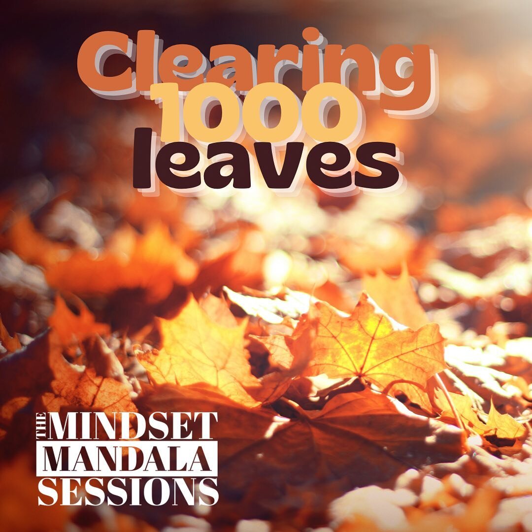 Any repetitive chore from painting wall to doing the dishes offers a chance for mindfulness. Tonight we dig into leaf sweeping as an introduction to mindfulness in action.
Link in bio