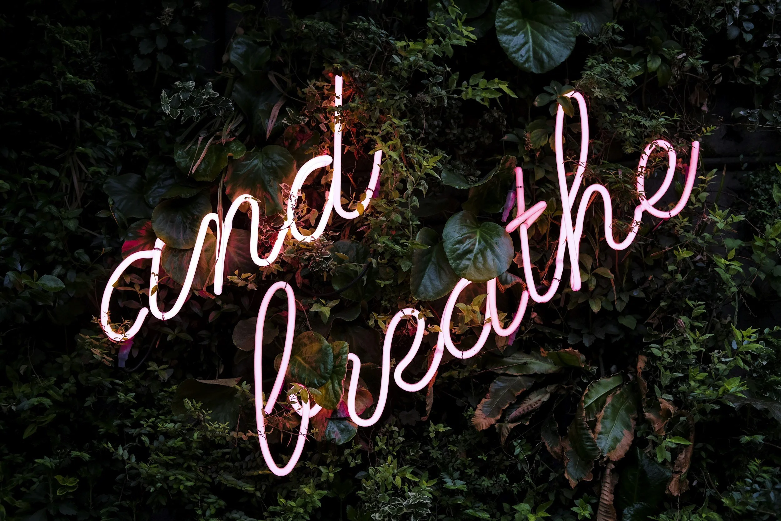 “Just Breathe” text, reminding founders to pause and respond calmly when pressure hits—money, boundaries, conflict, and uncertainty