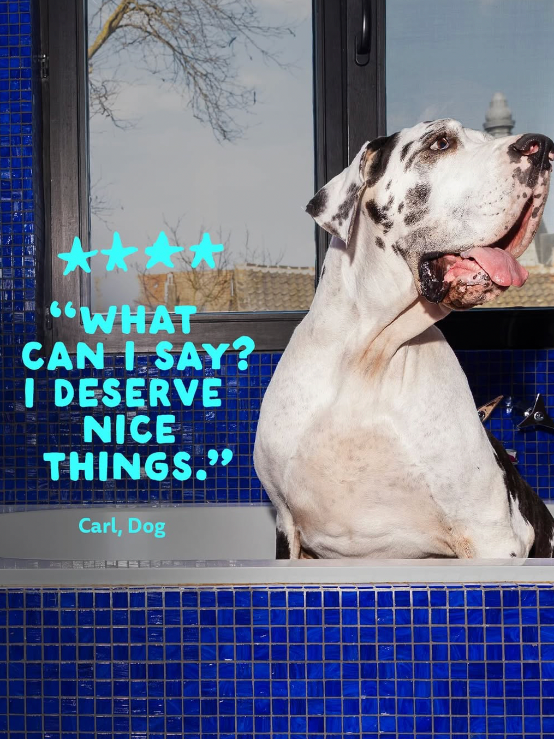 EdgardCooper Campaign 5.png