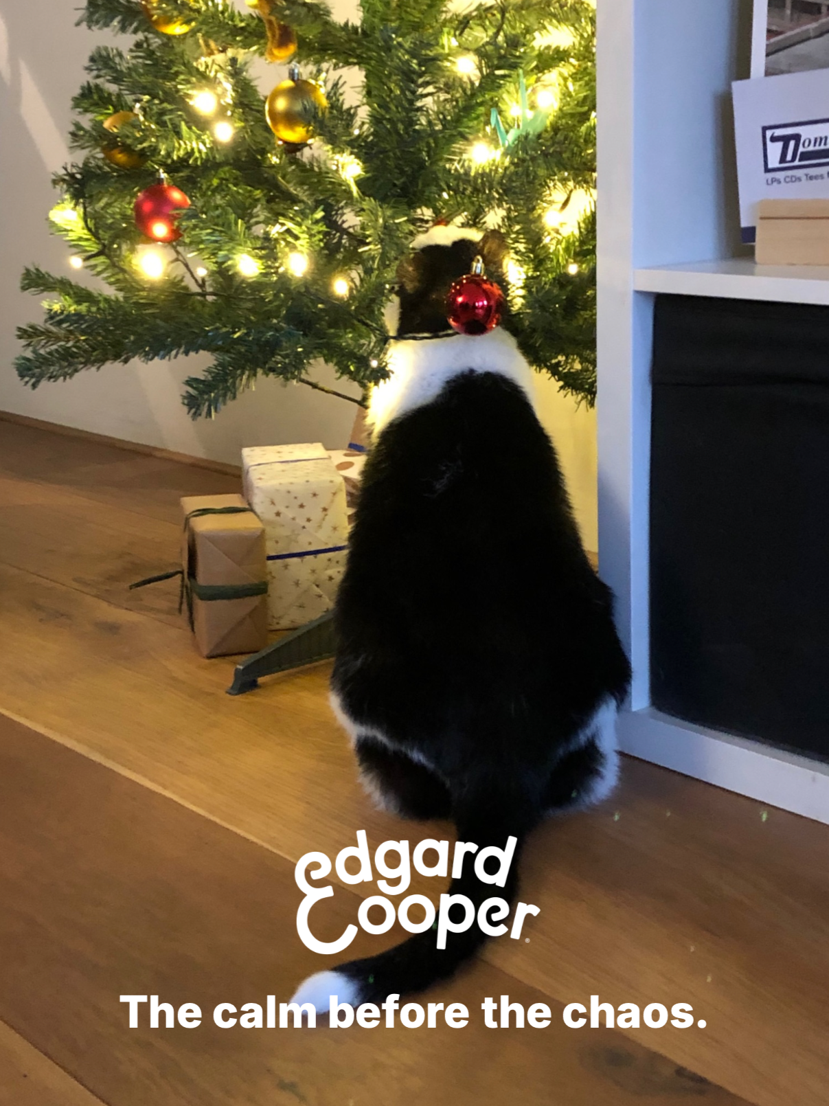 EdgardCooper TOV4.png