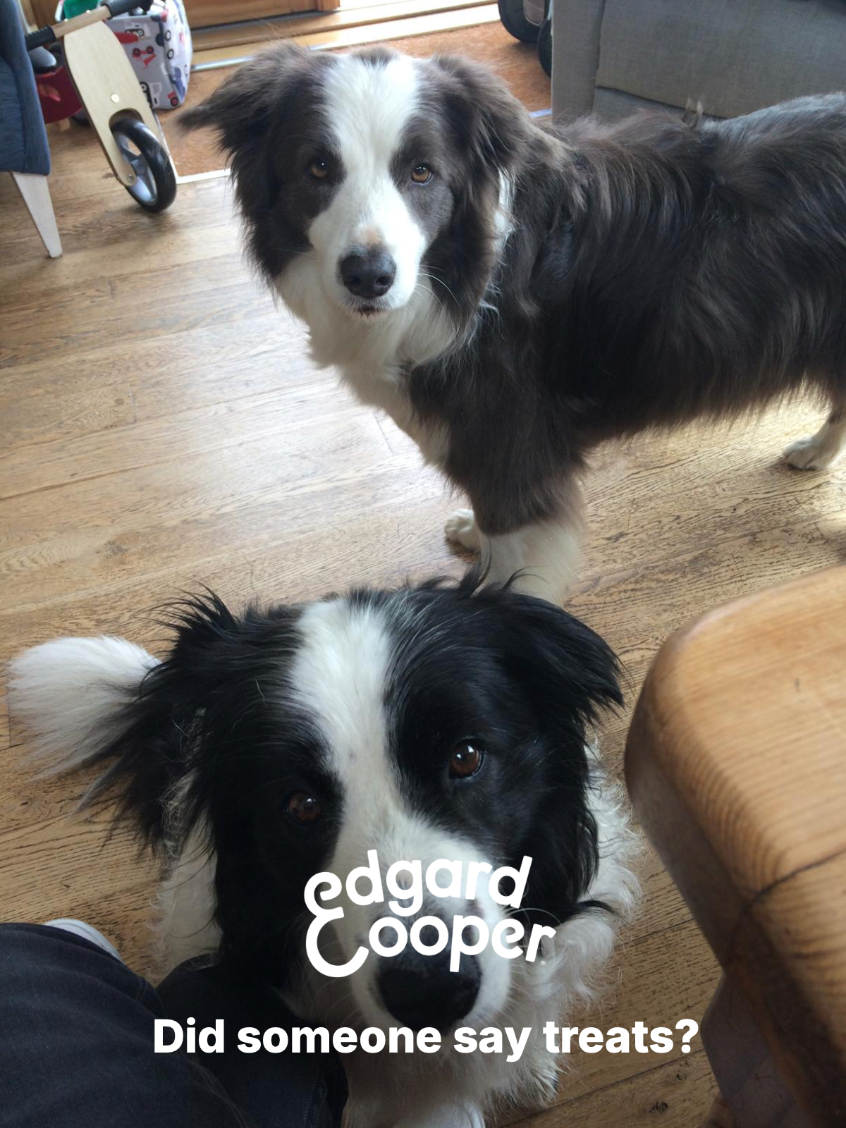 EdgardCooper TOV3.png