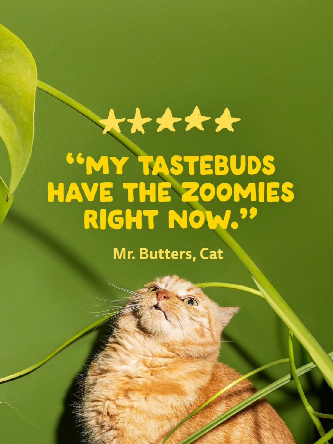 EdgardCooper Campaign 3.png