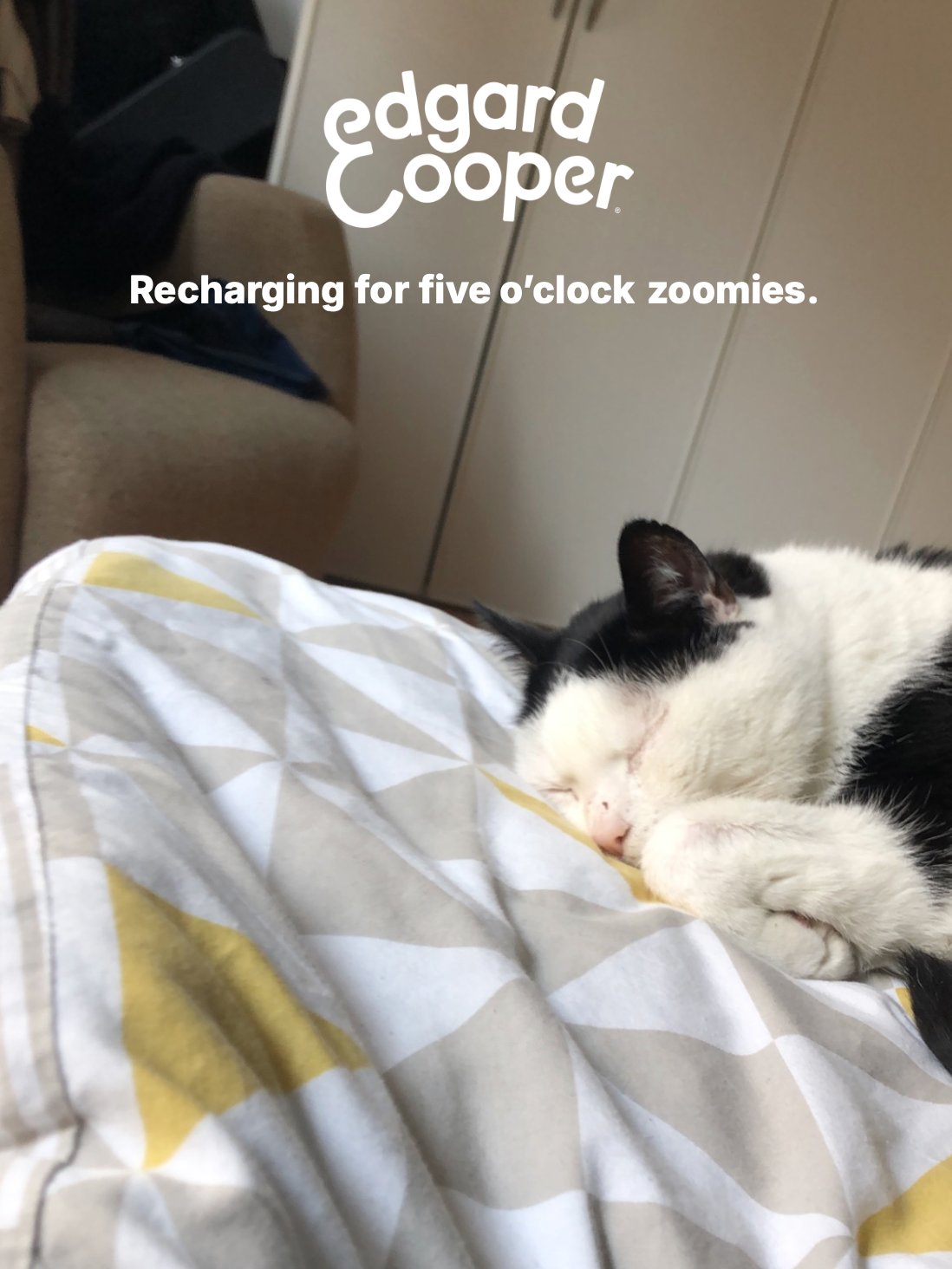 EdgardCooper TOV.png