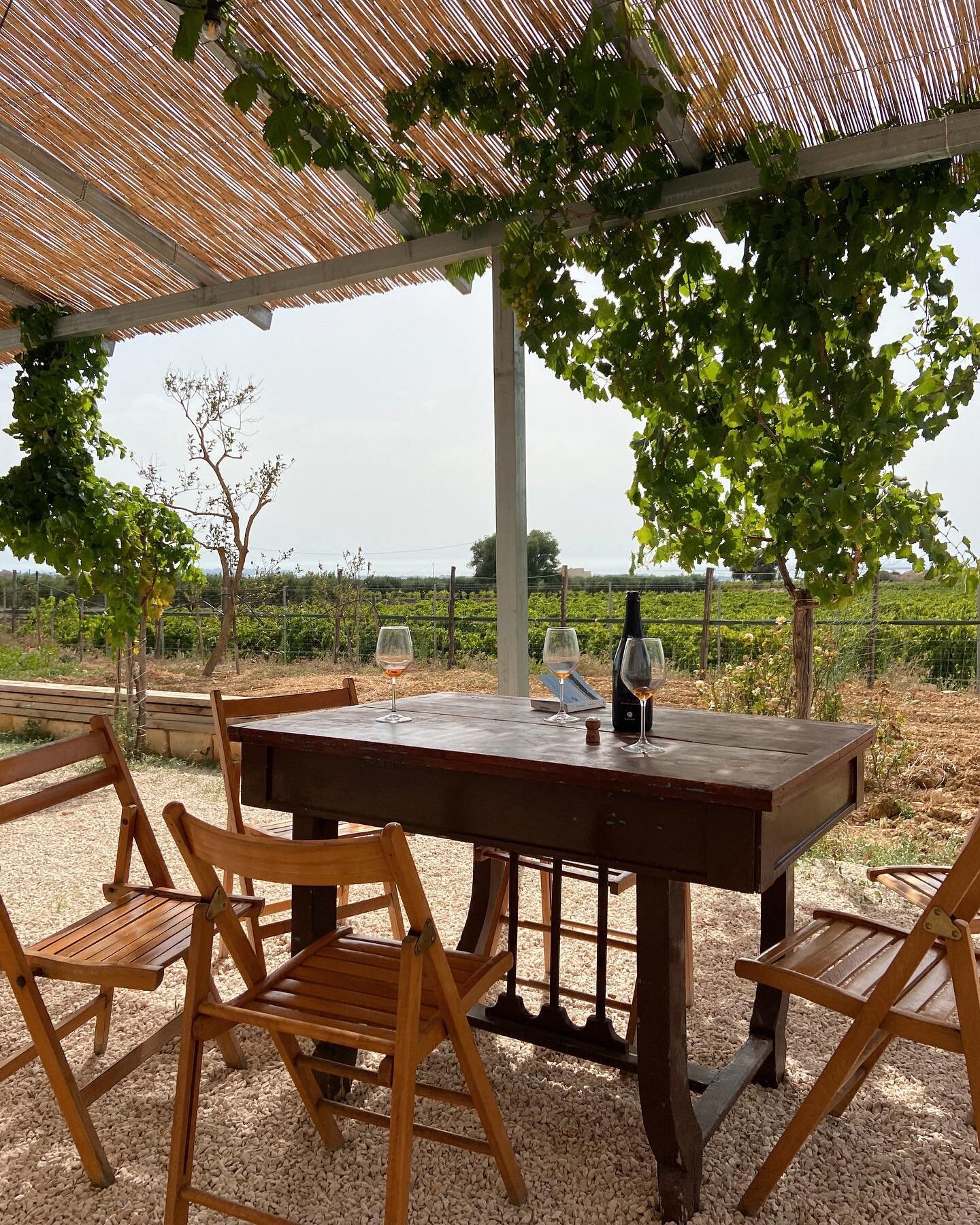 For our tasting table series&hellip; a hazy afternoon in Marsala. ☁️🌞☁️