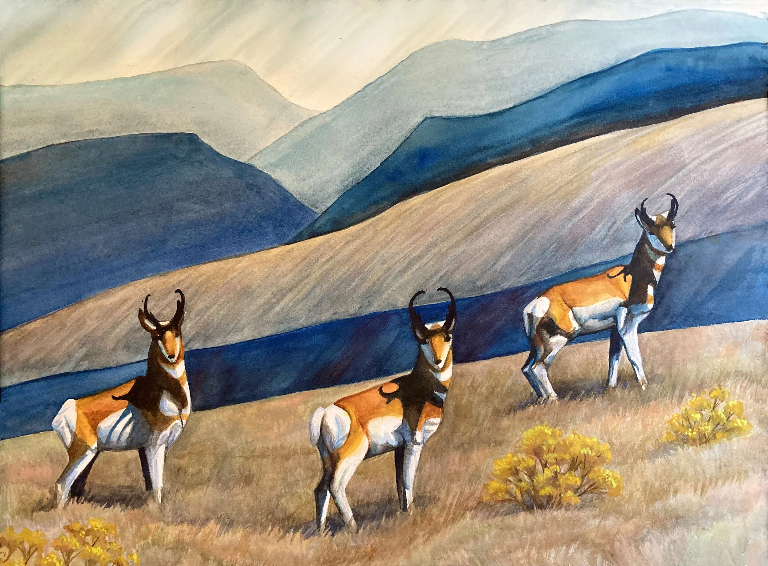 FourPronghorns.jpg